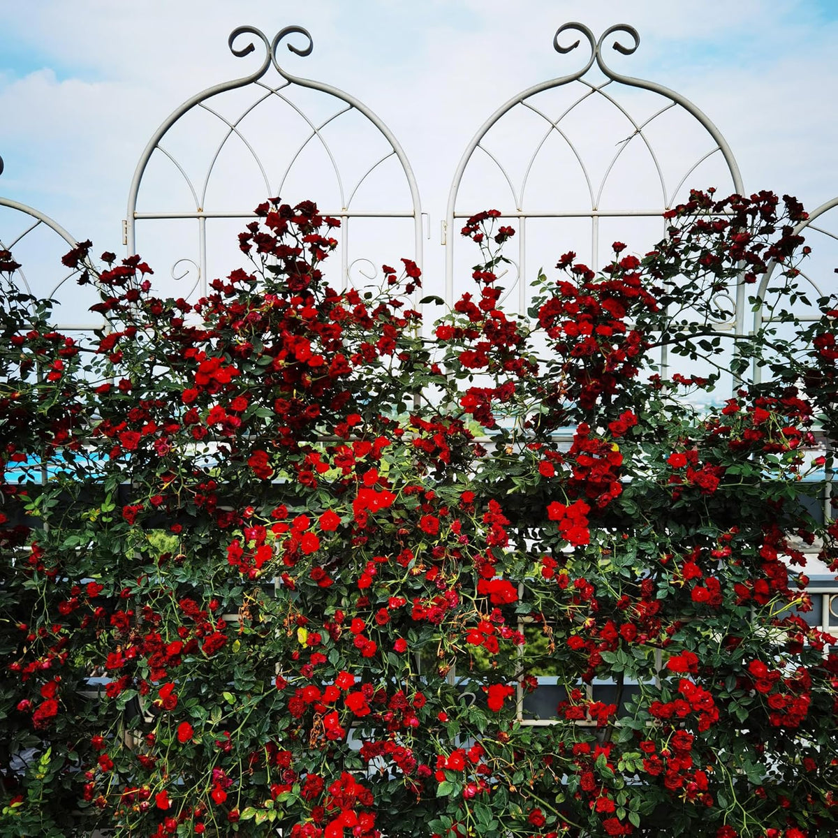 Metal Garden Trellis Rustproof Trellis for Climbing Plants Outdoor Flower Support Butterfly Deco