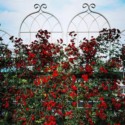 Metal Garden Trellis Rustproof Trellis for Climbing Plants Outdoor Flower Support Butterfly Deco