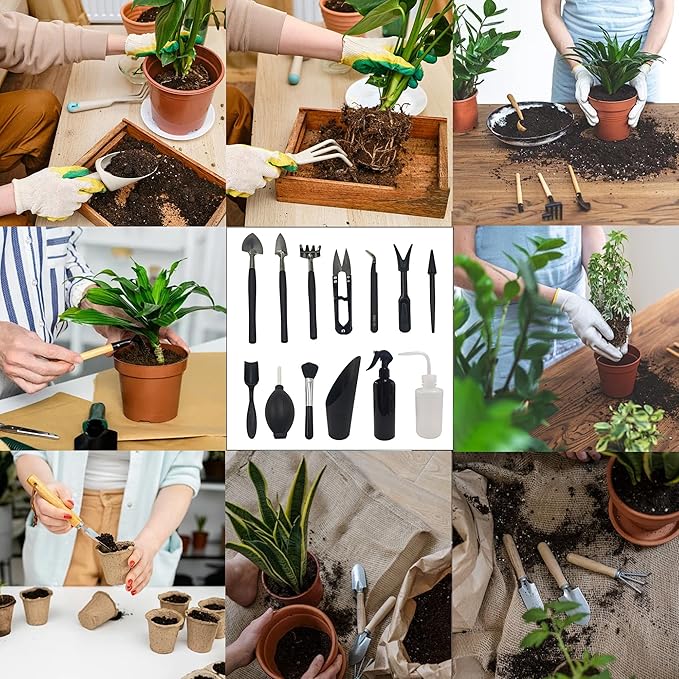 13Pcs Succulent Tools Set Mini Garden Tool Kit Transplanting Tools for Succulent Care Miniature