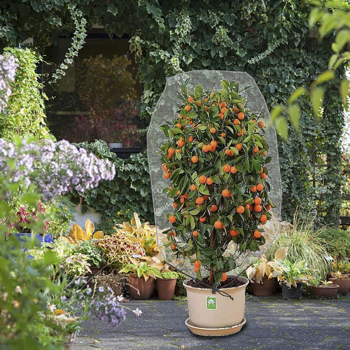 Alpurple 3 PCS Insect Bird Barrier Netting Mesh with Drawstring- 3.2 x 2.6 Feet Fruit Tree