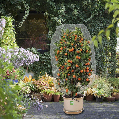 Alpurple 3 PCS Insect Bird Barrier Netting Mesh with Drawstring- 3.2 x 2.6 Feet Fruit Tree