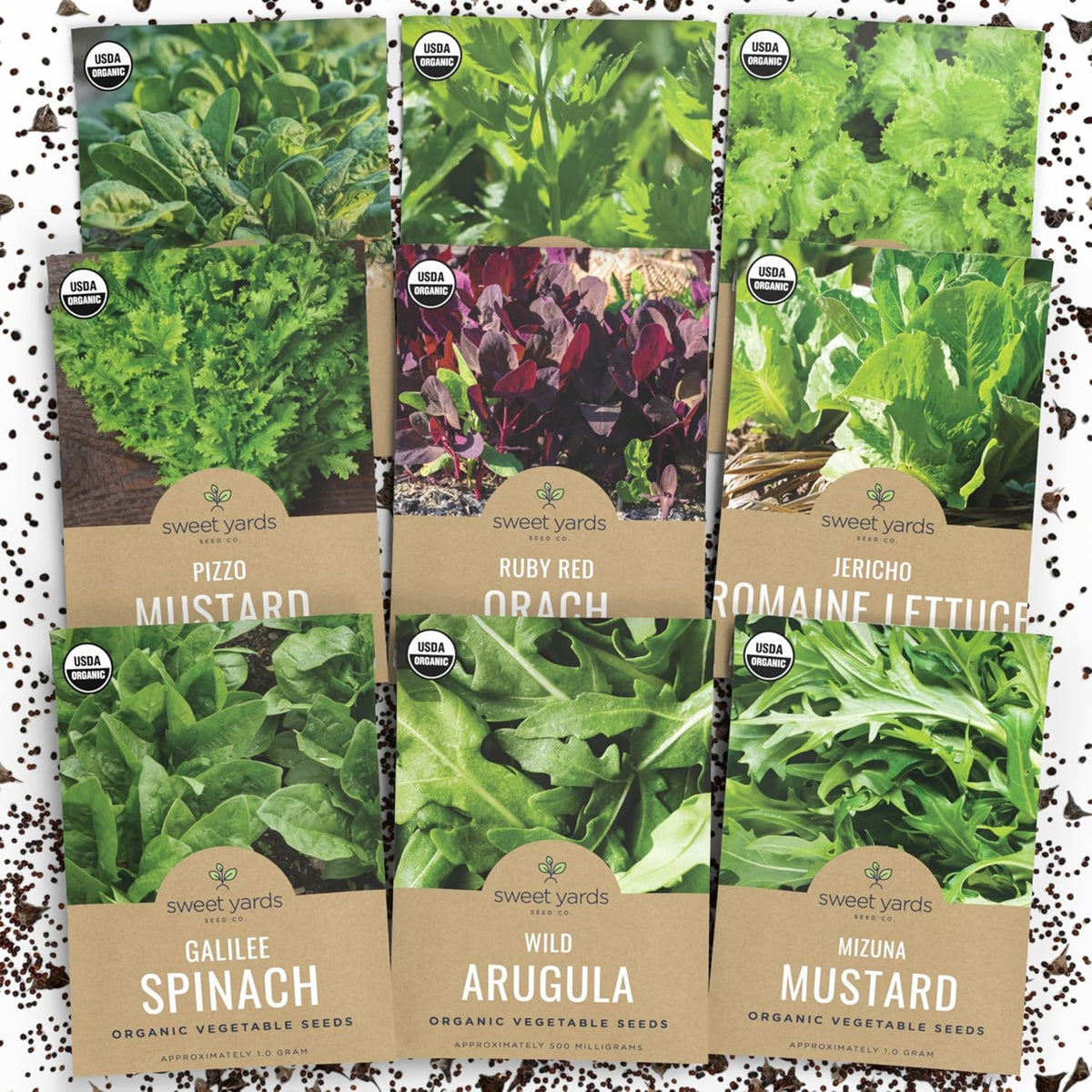 Organic Heat Tolerant Lettuce Seeds Variety Pack - 9 Individual Packs - 2025 Season - Galilee