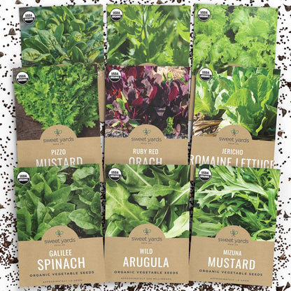 Organic Heat Tolerant Lettuce Seeds Variety Pack - 9 Individual Packs - 2025 Season - Galilee