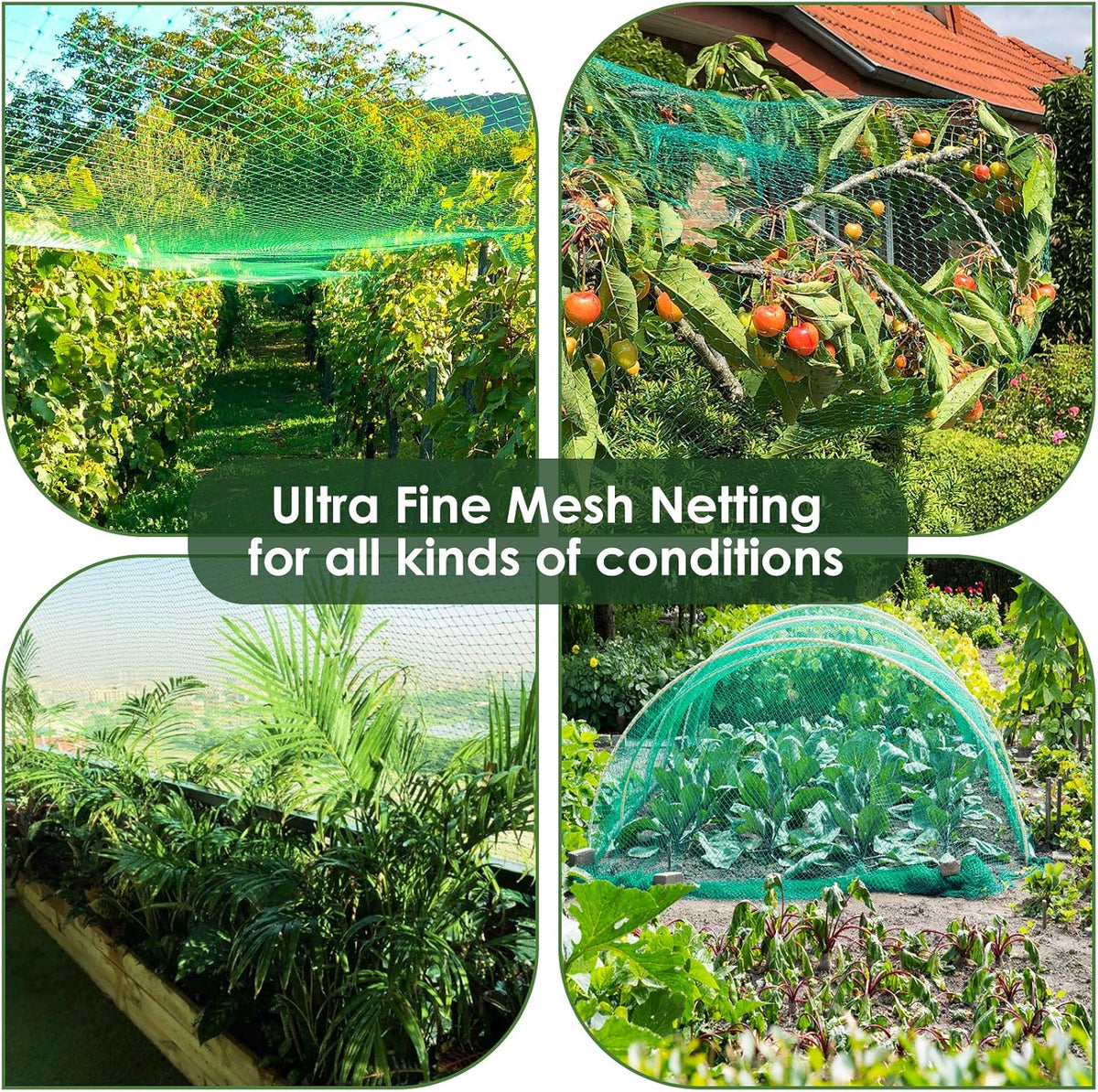Ruolan Bird Netting for Garden Protect Vegetable Plants and Fruit Trees13X20Ft,Plastic Trellis