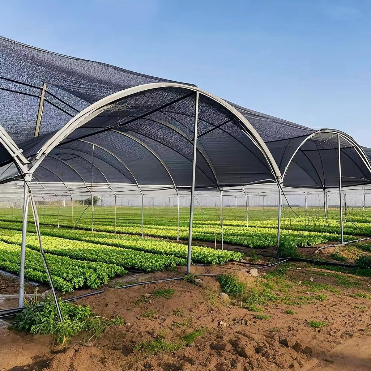 winemana Black Shade Cloth 50%, 30x50 FT Mesh Tarp - Garden Shade for Greenhouse, Patio
