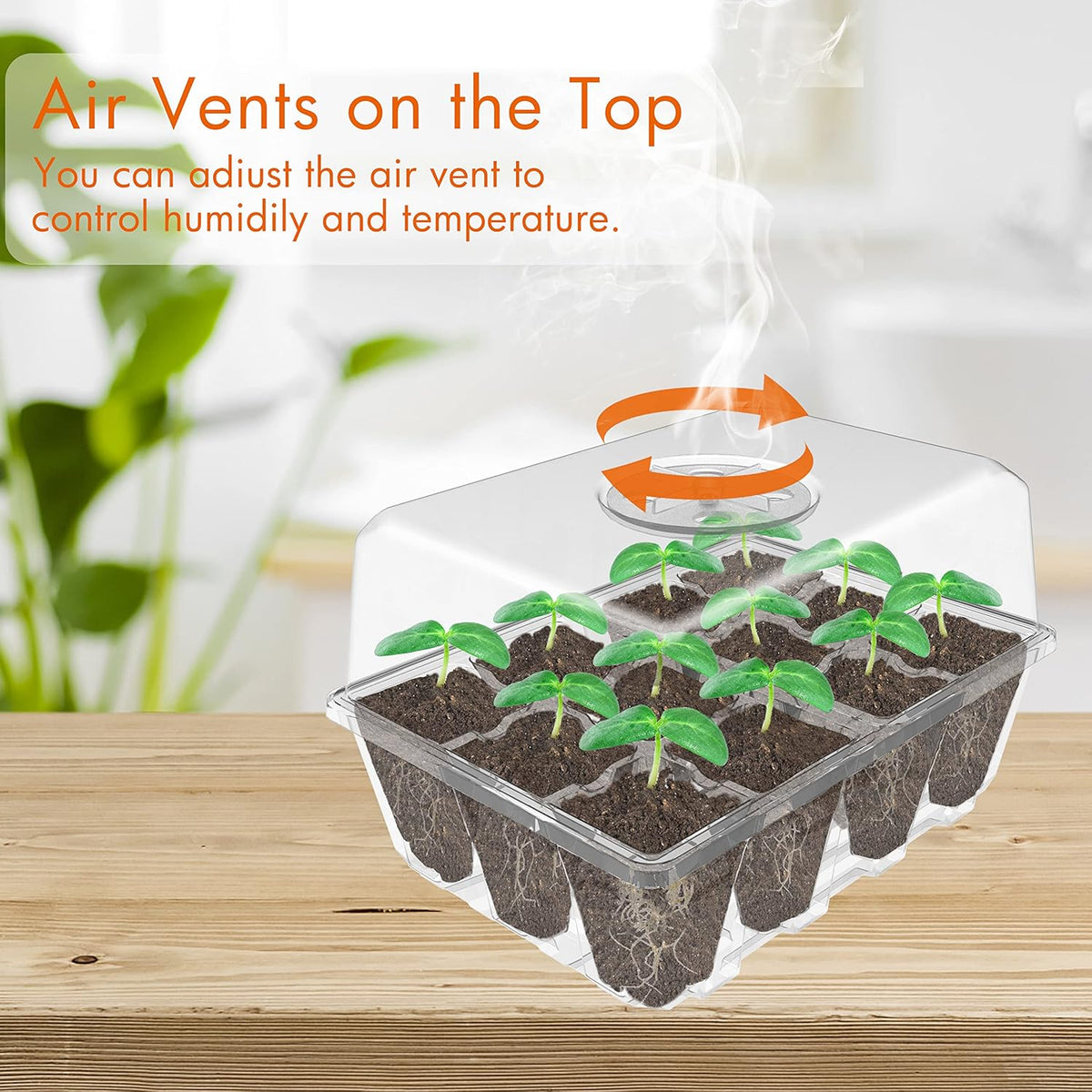 Gardzen 10 Pack Seed Starting Tray, Plant Germination Trays, Seed Starter Kit with Adjustable