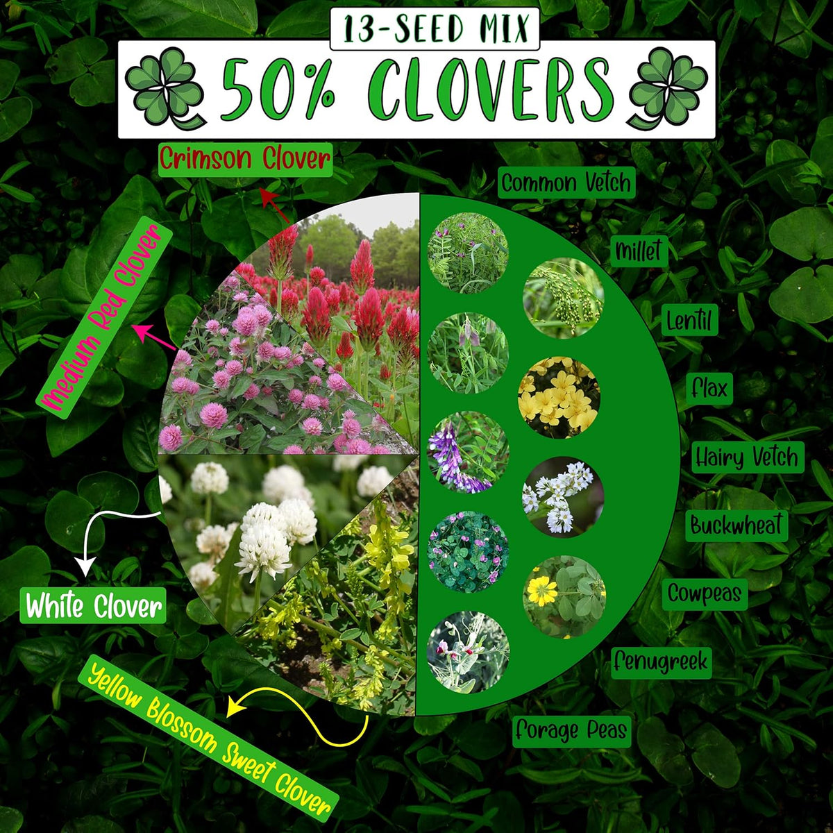 No-Till Cover Crop 13-Seed Mix (½-lb): [50% Clovers Plus Fenugreek, Vetch, Flax, Cowpeas