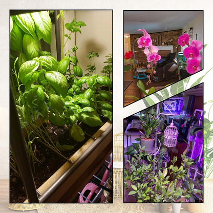 E12 Candelabra Small Base Grow Light Bulbs for Indoor Plants Full Spectrum 9W Grow Lamp 100W