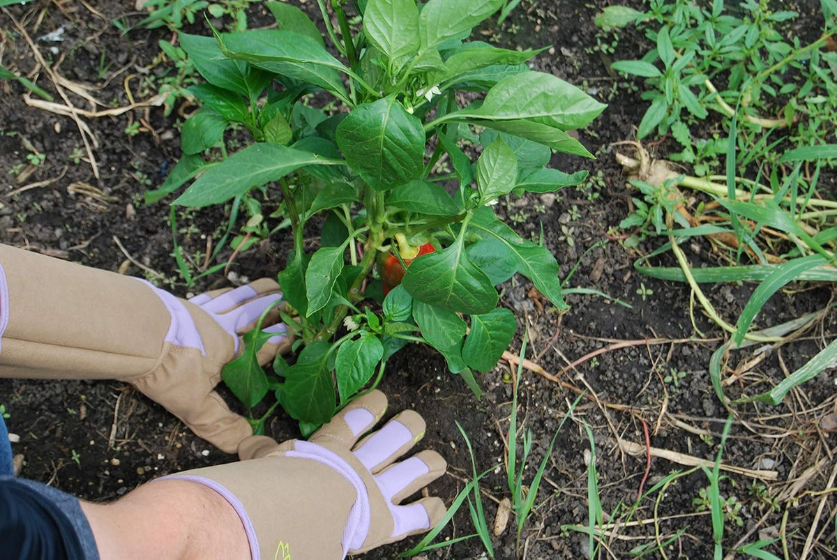 Magid Glove & Safety Professional Rose Pruning Thorn Resistant Gardening Gloves with Long Forearm