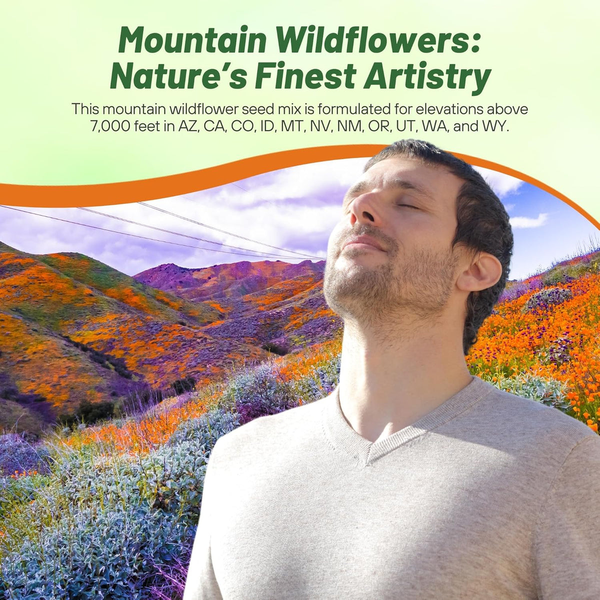 Outsidepride Mountain Wild Flower Seed Mix - 1 lb Premium Blend of Annual & Perennial Wildflower