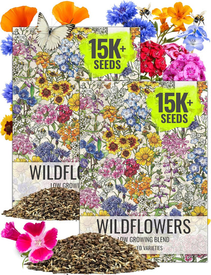 Seed Needs Low Growing Wildflower Flower Seeds for Planting | 2 Packs (1 Ounce Each) Mixture/Blend