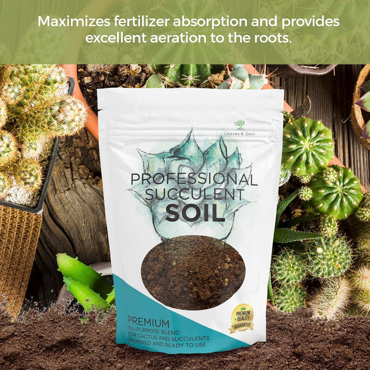 Extra Large 8.2 QT Bag Succulent Soil Premium All Purpose Blend | Pre-Mixed Ready to Use for Cactus