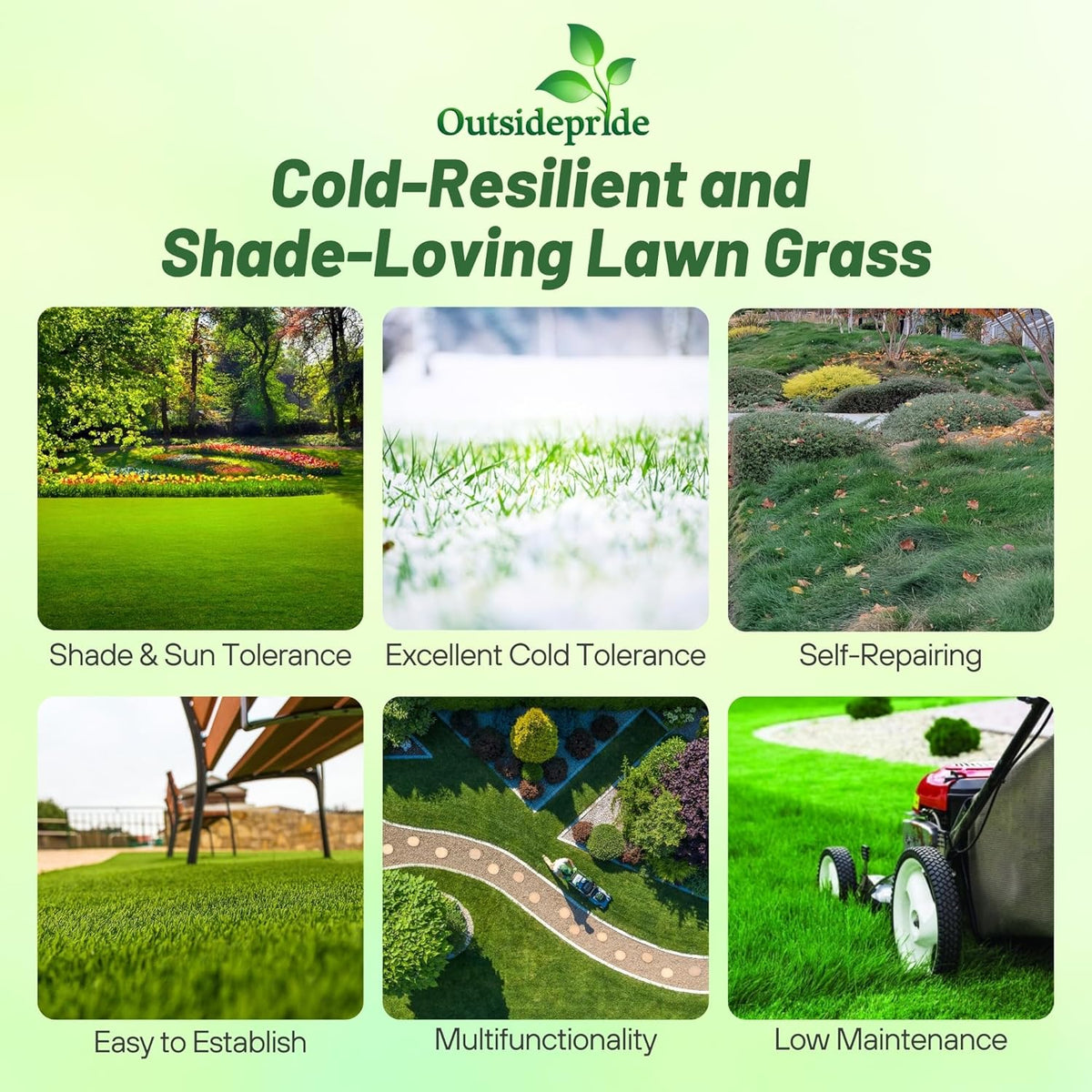 Outsidepride Creeping Red Fescue Grass Seed - 50 Lbs. Cool Season, Soft Textured, Self-Repairing