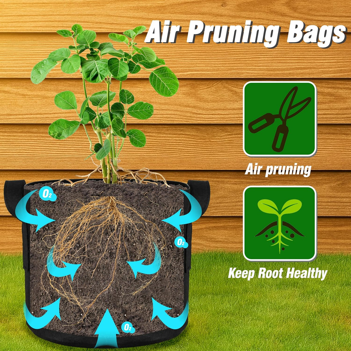 PHYEX 12-Pack 10 Gallon Grow Bags, Heavy Duty Fabric Pots with Handles, Reusable Plant Bags for