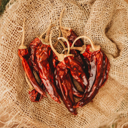 Guajillo Chile Pepper - 25 Seeds - Mexican Heirloom & Open-Pollinated Variety, Non-GMO Vegetable