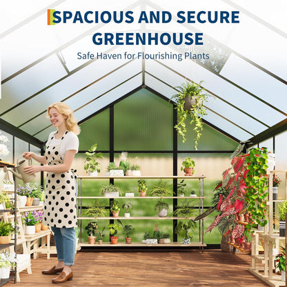 6x10 FT Greenhouse for Outdoors, Polycarbonate Greenhouse with Roof Vent, Ground Nails, Lockable