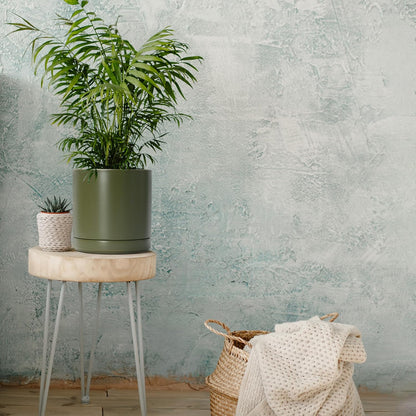 D'vine Dev 8.2 Inch Ceramic Planter Pot with Drainage Hole and Saucer, Indoor Cylinder Round