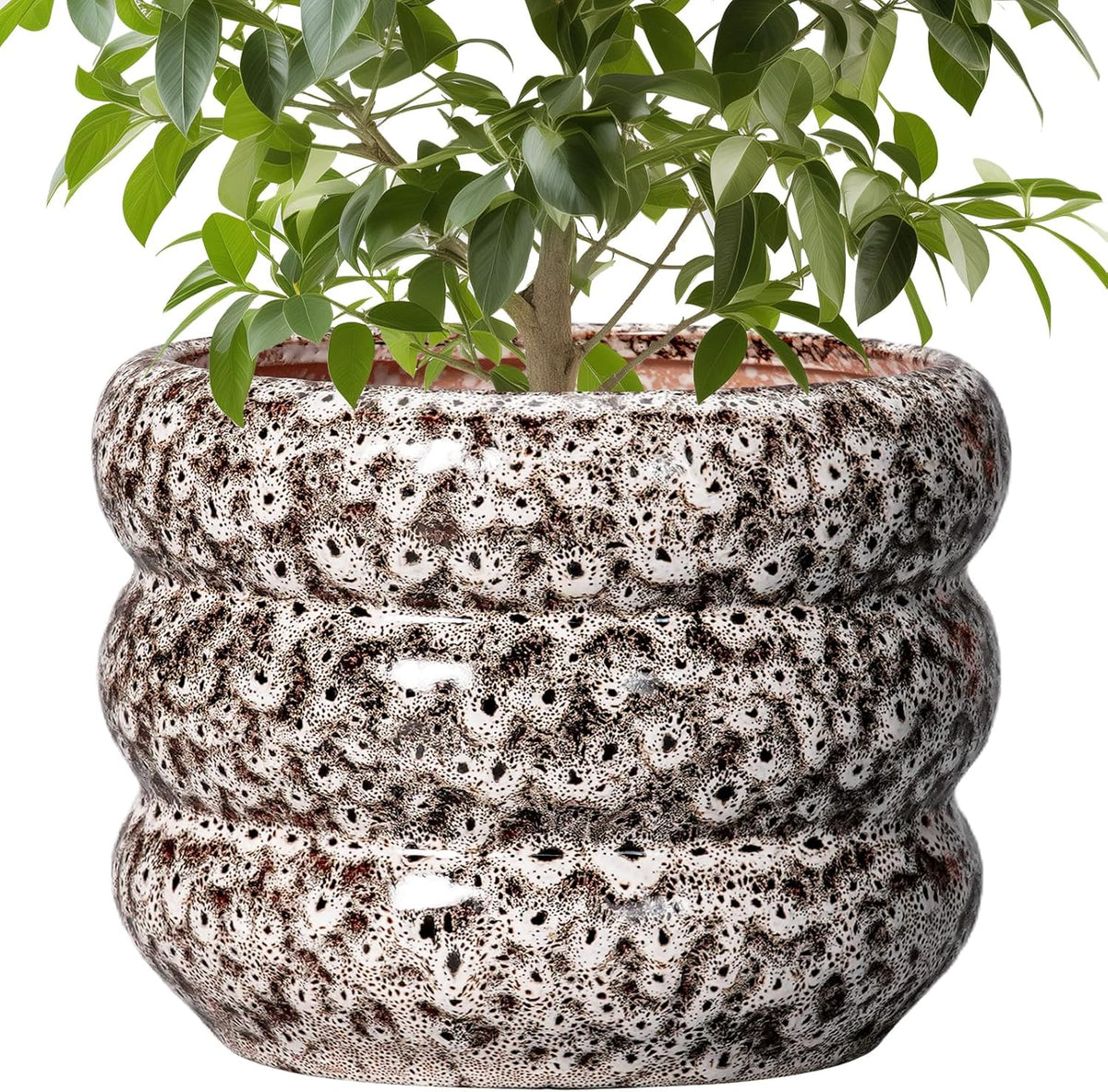 SQOWL Ceramic Pots for Plants - 10 Inch Plant Pot with Drainage Hole, Ceramic Planter for Indoor