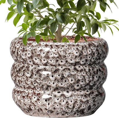 SQOWL Ceramic Pots for Plants - 10 Inch Plant Pot with Drainage Hole, Ceramic Planter for Indoor