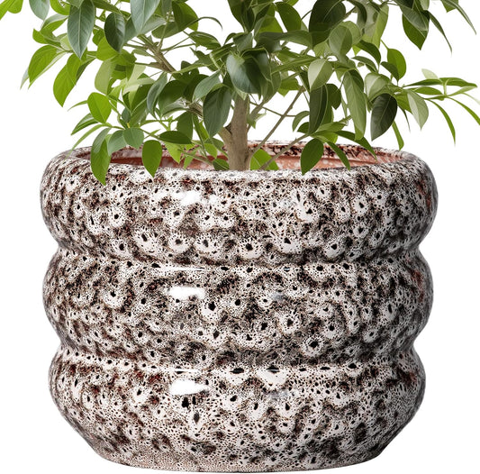 SQOWL Ceramic Pots for Plants - 10 Inch Plant Pot with Drainage Hole, Ceramic Planter for Indoor