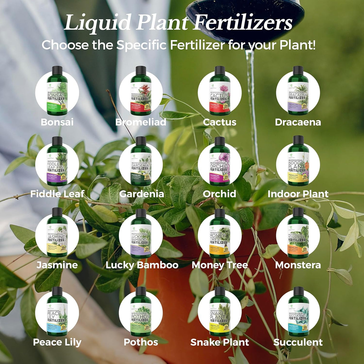 Professional Liquid Philodendron Plant Fertilizer | 3-1-2 Concentrate for House Plants |