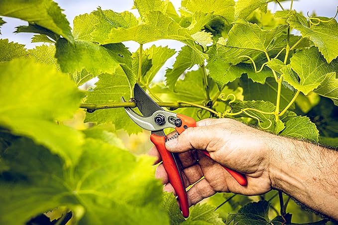 Original LÖWE Bypass Pruner Garden Tools 14.104 | Use as Pruners, Hedge Trimmer, Garden Shears