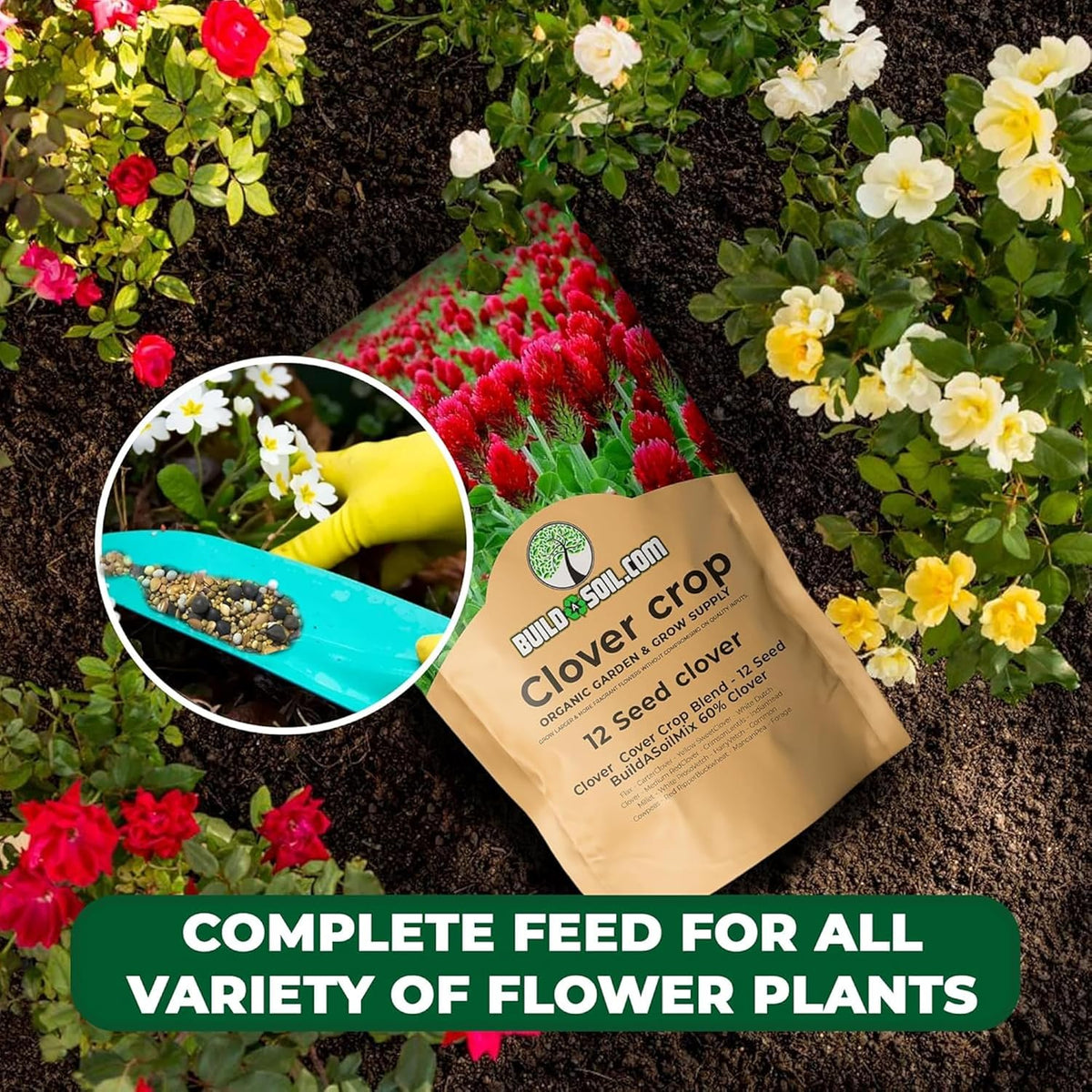 BuildASoil No-Till Clover Seed Cover Crop Blend 12 Species Cover Crop Seed Mix Premium Clover Seeds