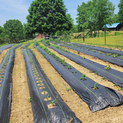 Sunocity 4ft x 300ft Durable Weed Barrier Fabric, 3.2oz Heavy-Duty Landscaping Fabric, Permeable