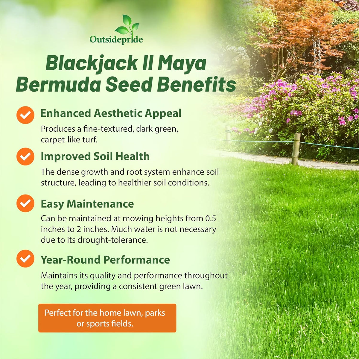 Outsidepride Maya (Blackjack II) Bermuda Grass Seed - 5 lbs Warm Season, Drought Tolerant, Fast