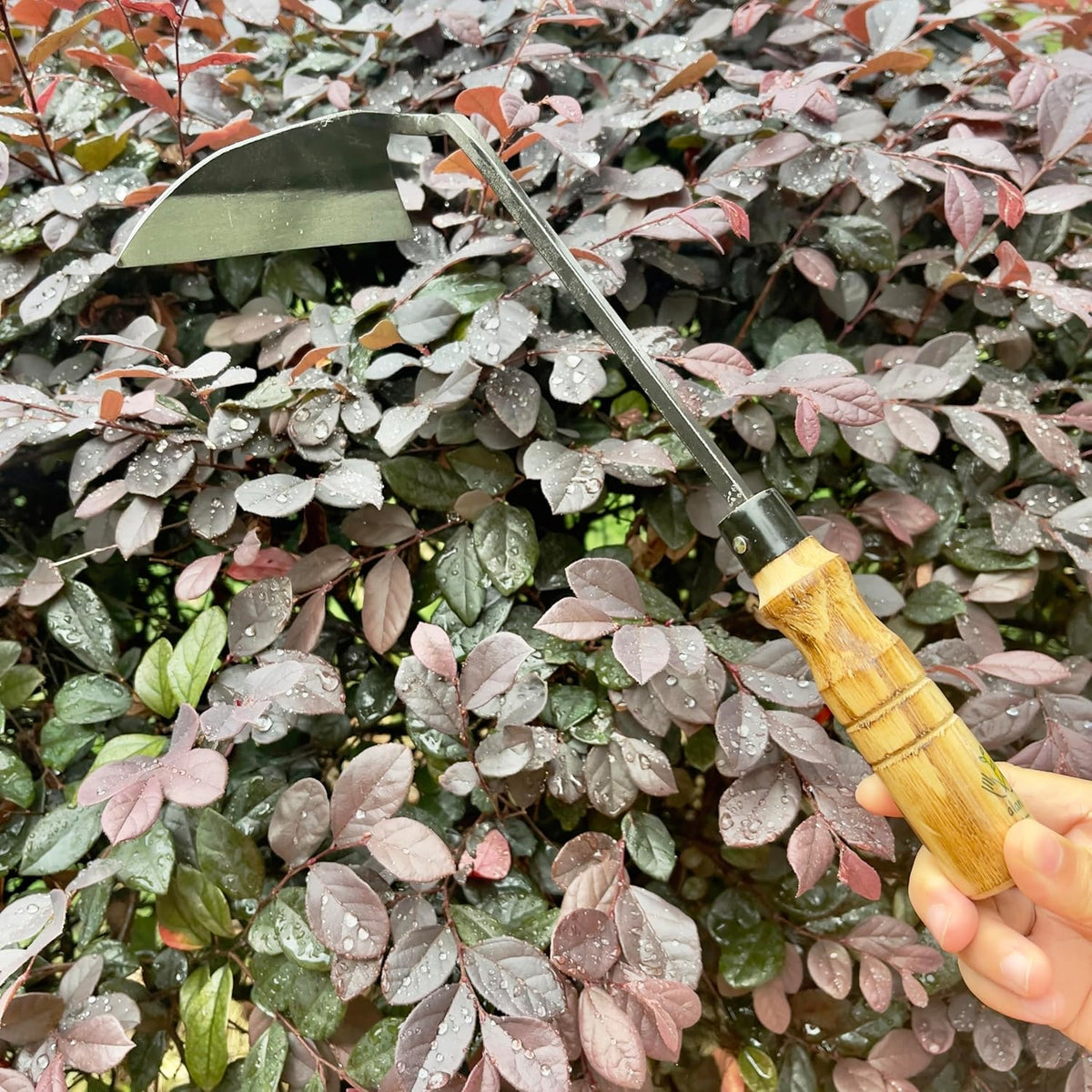 12 Inch Japanese Gardening Hand Weeding Sickle, Weeding Hoe with Long Wooden Handle