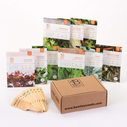 Seed Starter Kit – Salad Greens | Non-GMO | Heirloom Seed Packets | Natural Wood Row Markers | Over