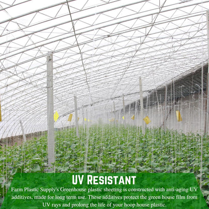Farm Plastic Supply - String Reinforced 4 Year UV Resistant 10 mil Clear Greenhouse Plastic