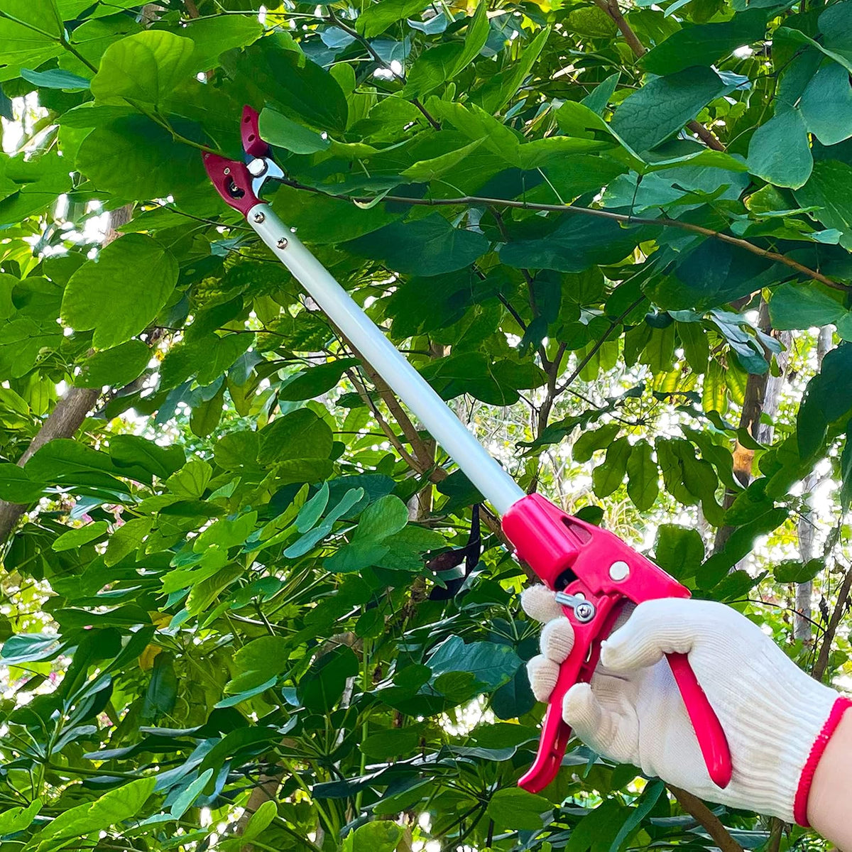 Tree Trimmer, 2 Foot Pole Pruner, Long Reach Pruning Shears, Cut and Hold Garden Clippers, Aluminum