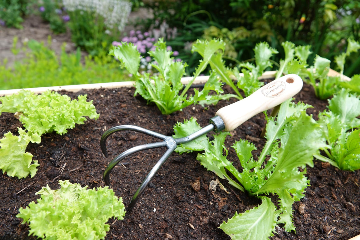 Dewit Cultivator Hand Tiller - 3-Tine, Short Handle, Works as Hoe - 11.5 in - Steel/Wood