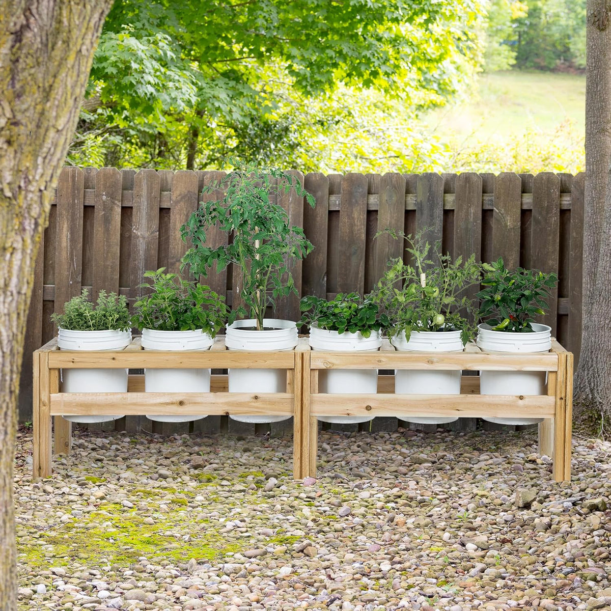 Greenes Fence Six Bucket Elevated Cedar Wood Garden Frame, 84 in. x 16 in. x 20 in. - Made in USA