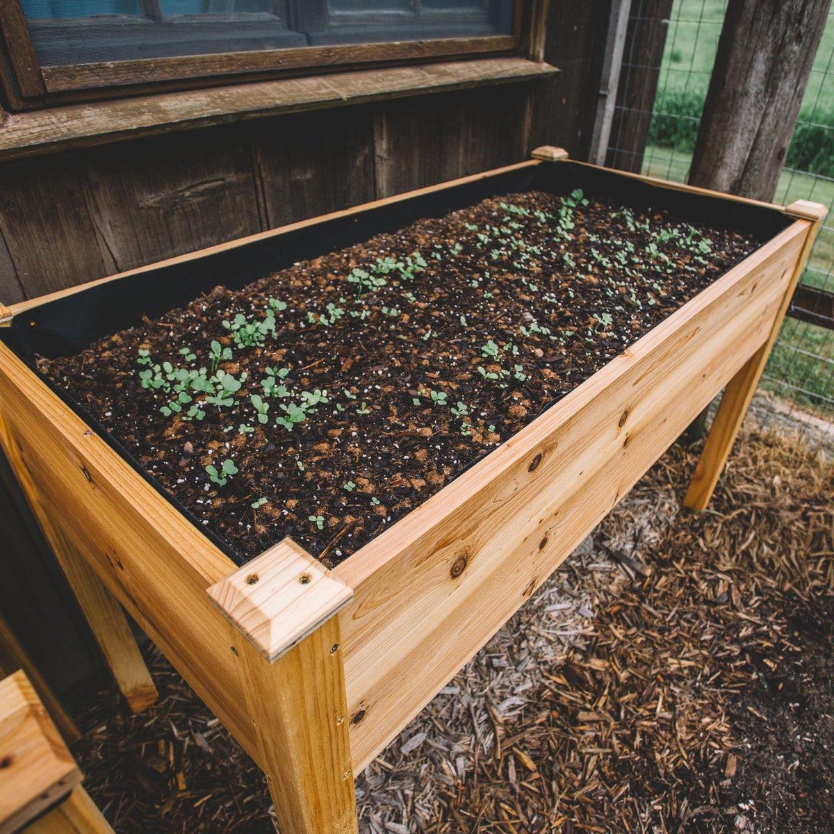 Backyard Expressions Wooden Raised Garden Bed | 48" x 24" x 30" Elevated Planter Box with Included