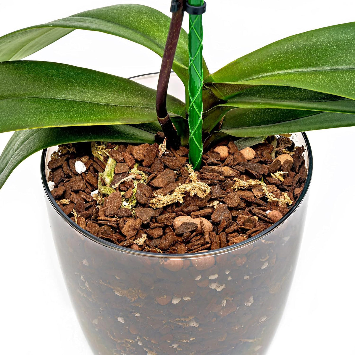 Organic Premium Orchid Soil Mix by Gardenera - Hand Mixed Classic Sphagnum Moss Potting Soil Mix