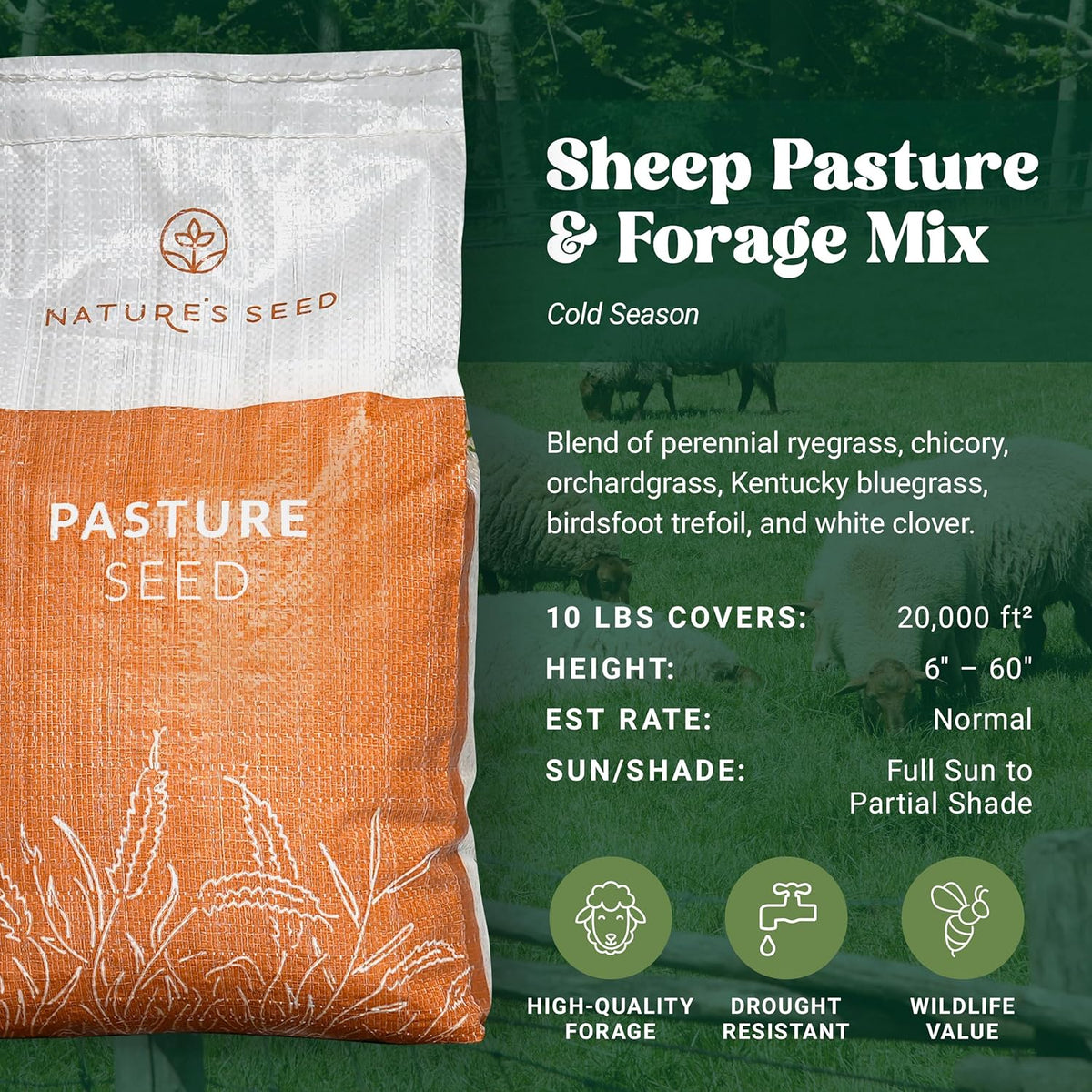 Nature's Seed Northern Sheep Forage Mix, Cattle Pasture Grass Seed Cool-Season Blend