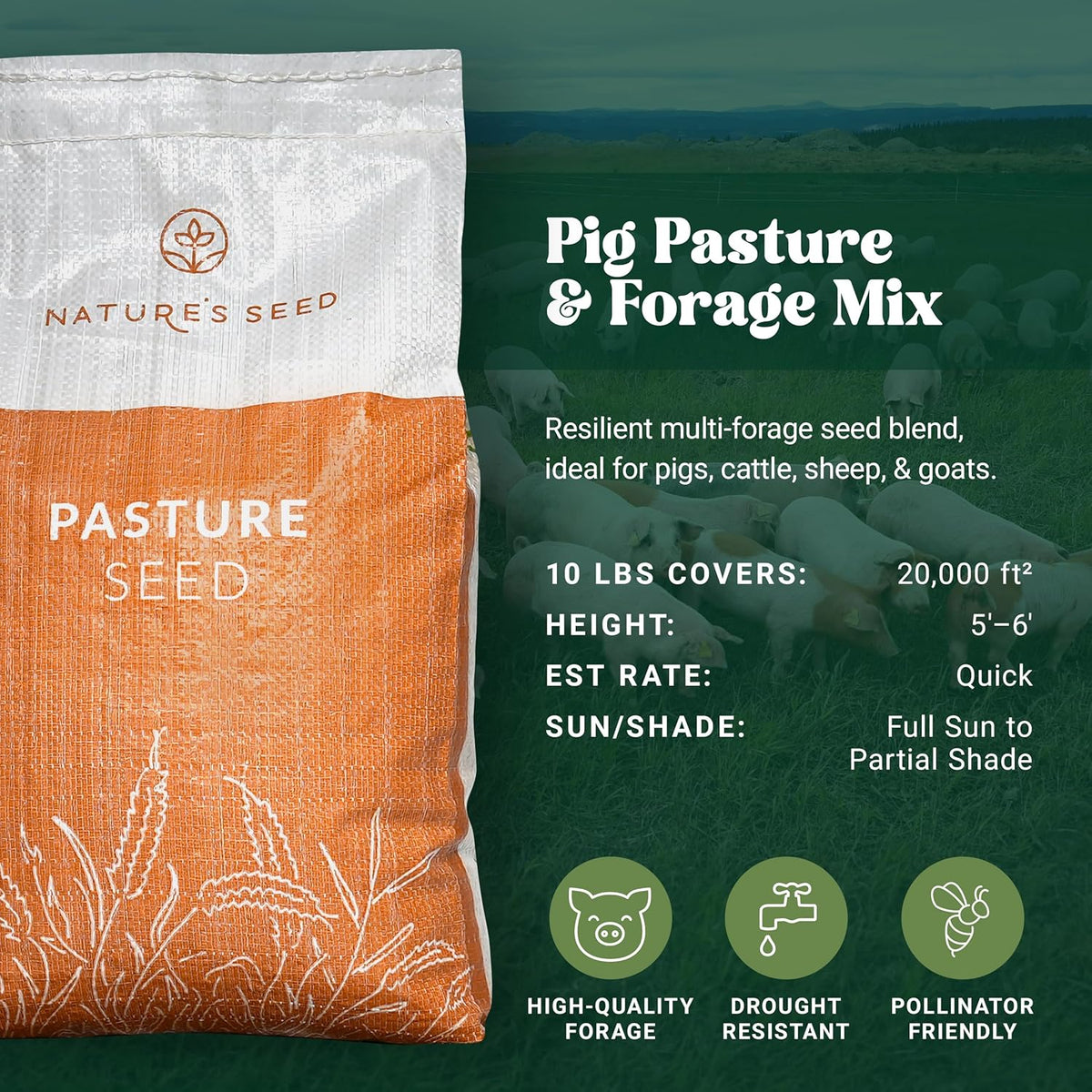 Nature’s Seed Pig Forage Mix, Pasture Grass Seed Blend, Wildlife Food Plot for Deer, Elk and More