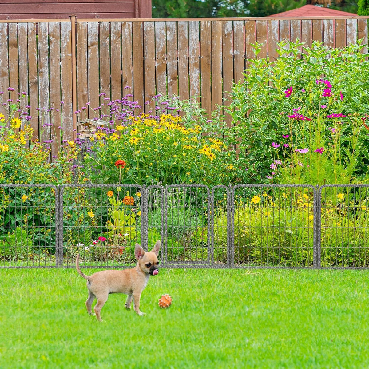 FXW Garden Fence Outdoor for The Yard – 24in(H) x 60.9ft(L) Heavy Duty Metal Animal Barrier for Dog