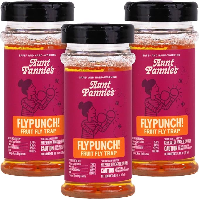 Aunt Fannie's FlyPunch Fruit Fly Trap for Indoor and Kitchen Use, Ready to Use, Made with Plant