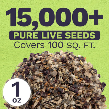 Perennial Wildflower Seeds Mixture - Bulk 1 Ounce Packet - Over 15,000 Pure Live Seed - Open