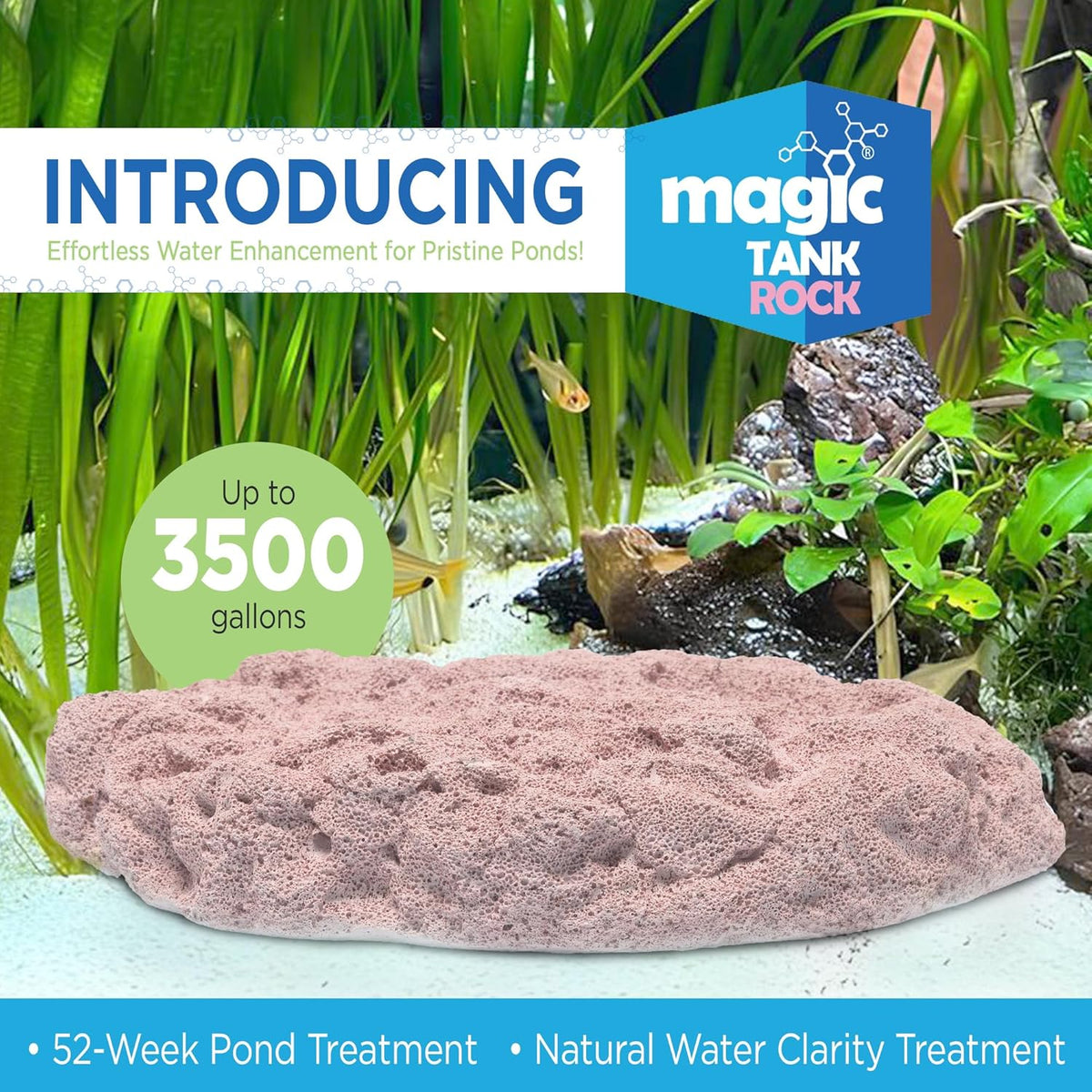 Fish Tank Rocks for Enhancing Water Clarity with Your Regular Cleaning Routine, Fish Friendly