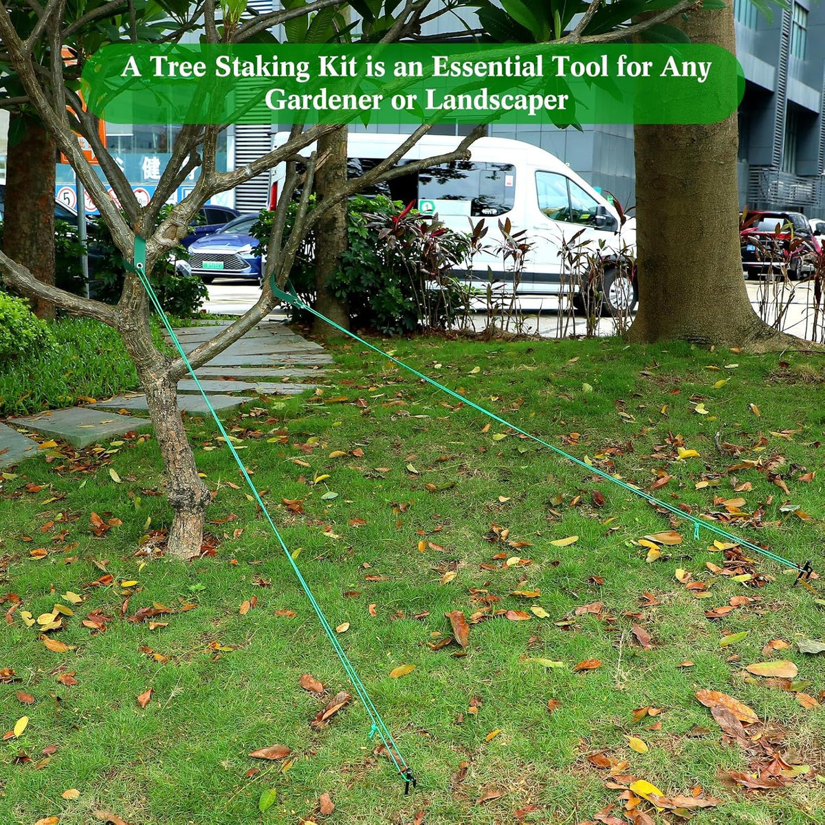 Sintuff 36 Pcs Heavy Duty Tree Stake Kits Stake and Support for Young Leaning Tree Anchor