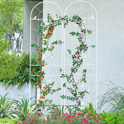 Sungmor Metal Trellises for Climbing Plants, Overall 20 Inch Width & 82.5 Inch Tall, 2PC White
