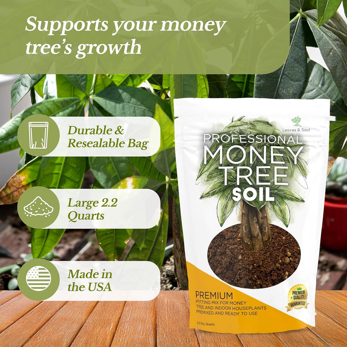 Professional Money Tree Soil | Large 2.2 Quarts Ready to Use for Money Tree Plants | Peat Moss