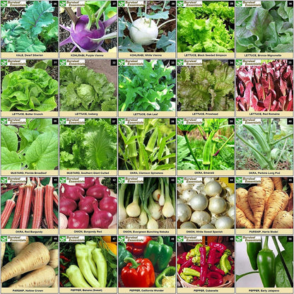 Garden Heirloom Seed Vault, 100 Variety, Over 17,500 Vegetable, Fruit, and Herbs Seeds, Non-GMO