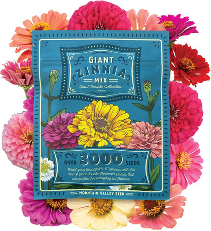 Zinnia Flower ~ 3000 Seeds California Giant Mix & Lilliput Semi-Dwarf Mix – Heirloom, Non-GMO