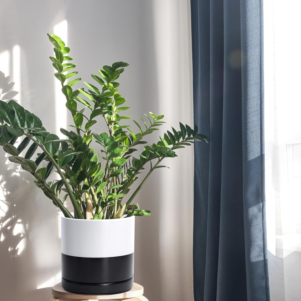 D'vine Dev 8.2 Inch Ceramic Planter Pot with Drainage Hole and Saucer, Indoor Cylinder Round