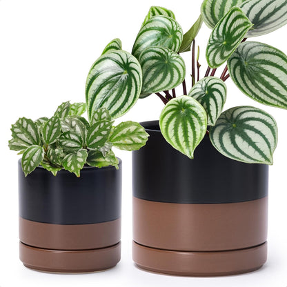 D'vine Dev 4.7 Inch & 6.5 Inch Ceramic Planter Pots for Plants with Drainage Hole and Saucer, Small